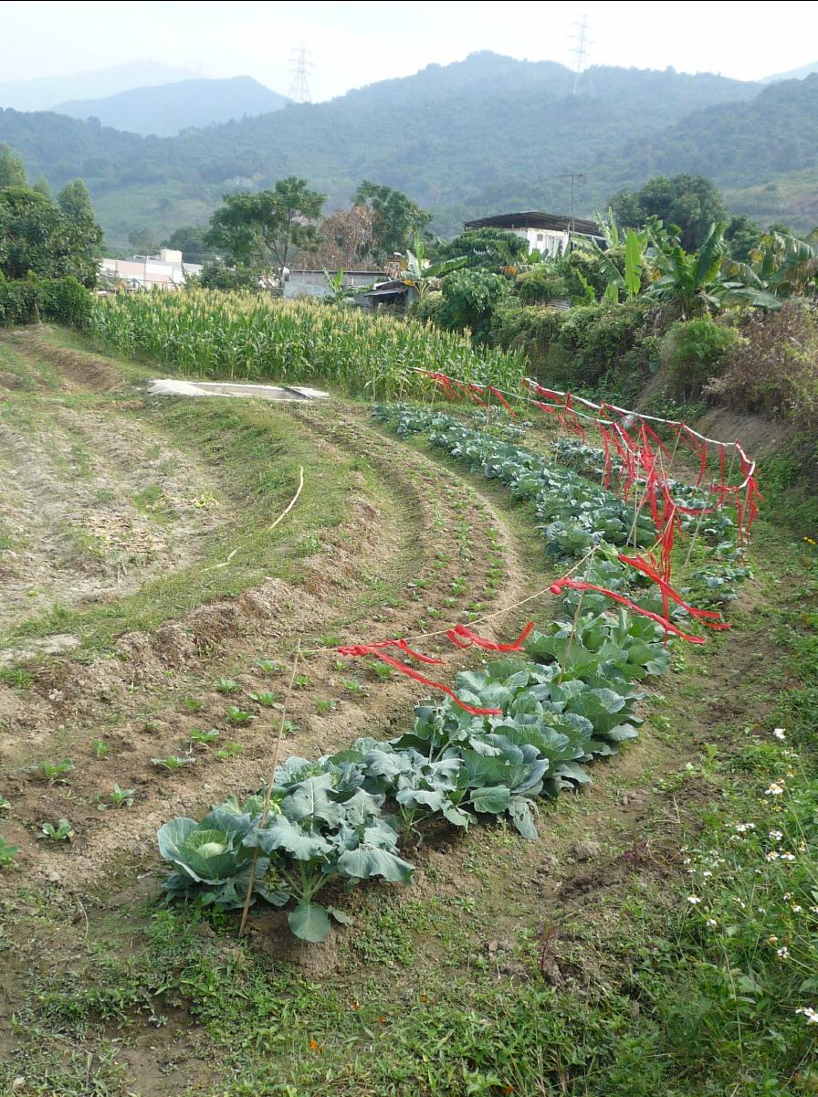 20101127 THE Organic Farm14